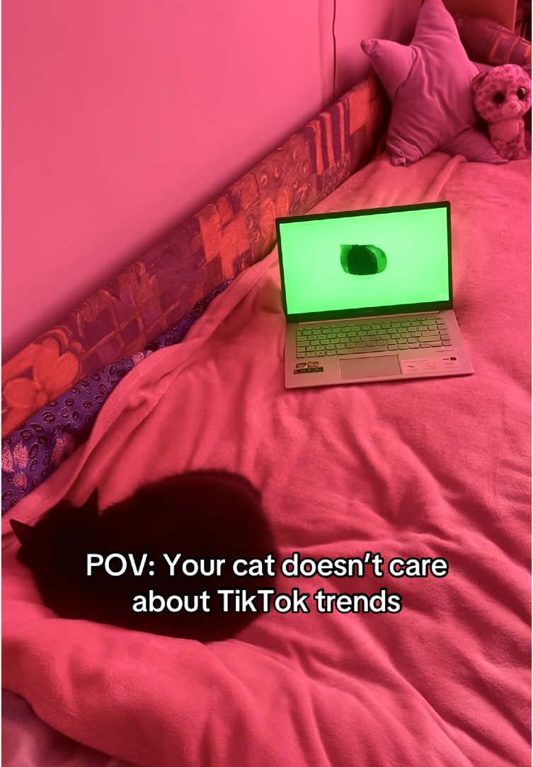 @Dori