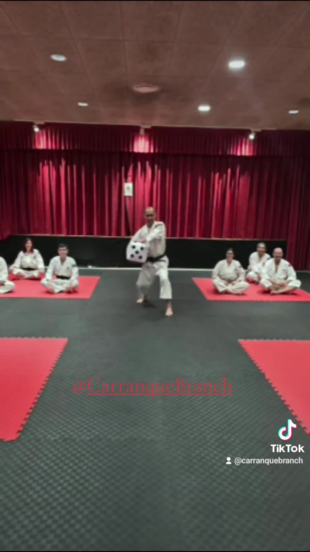 @CarranqueBranch