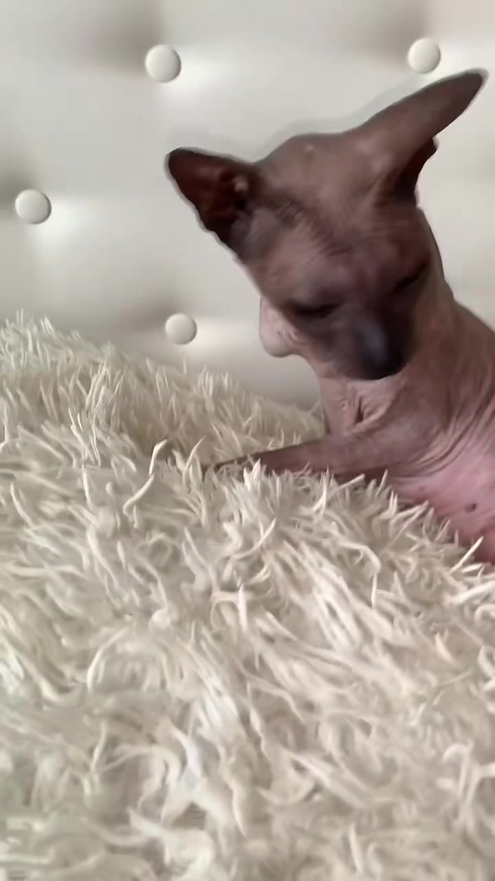 @чернаяяя👀