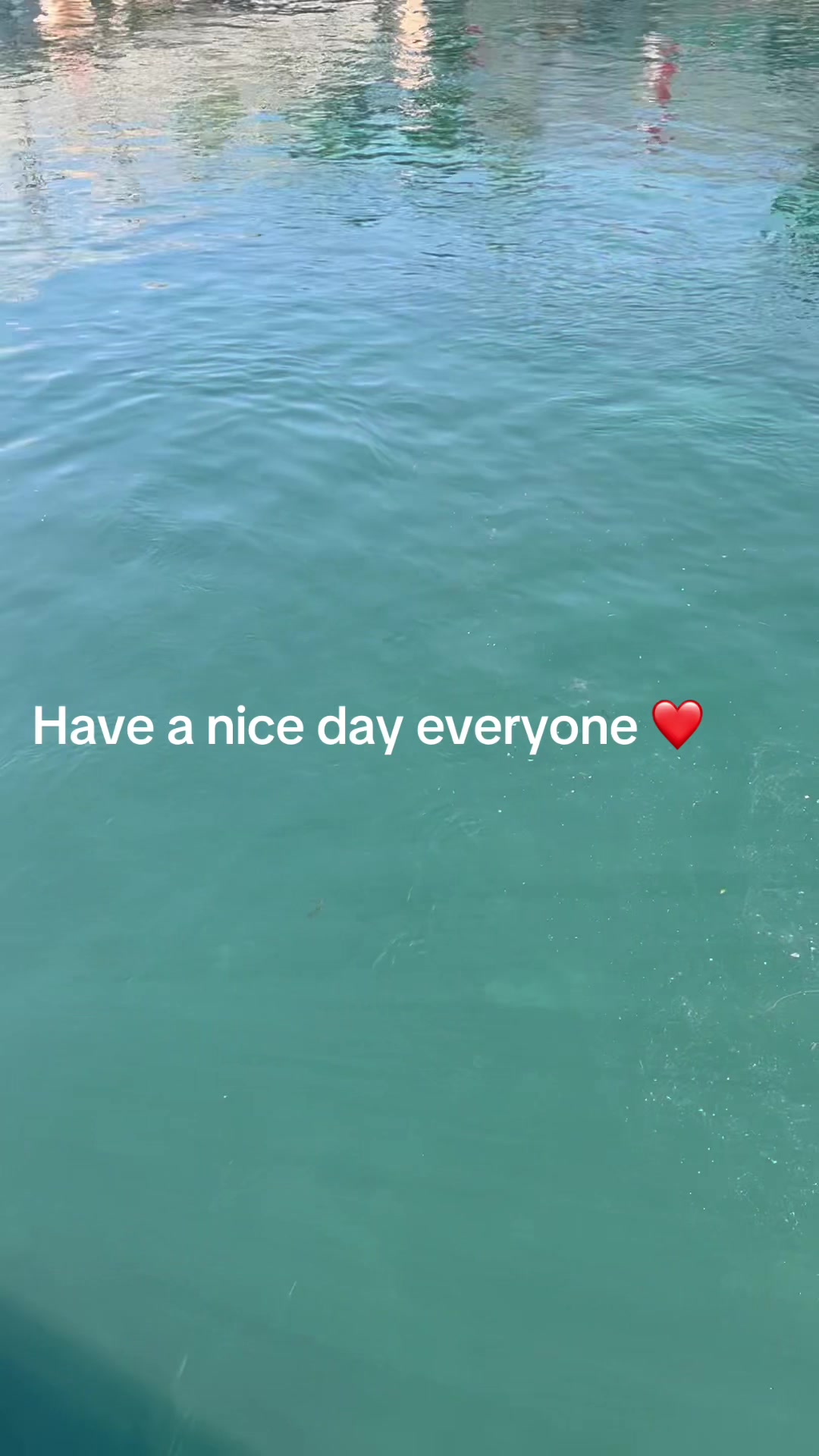 @Michelle Cassis