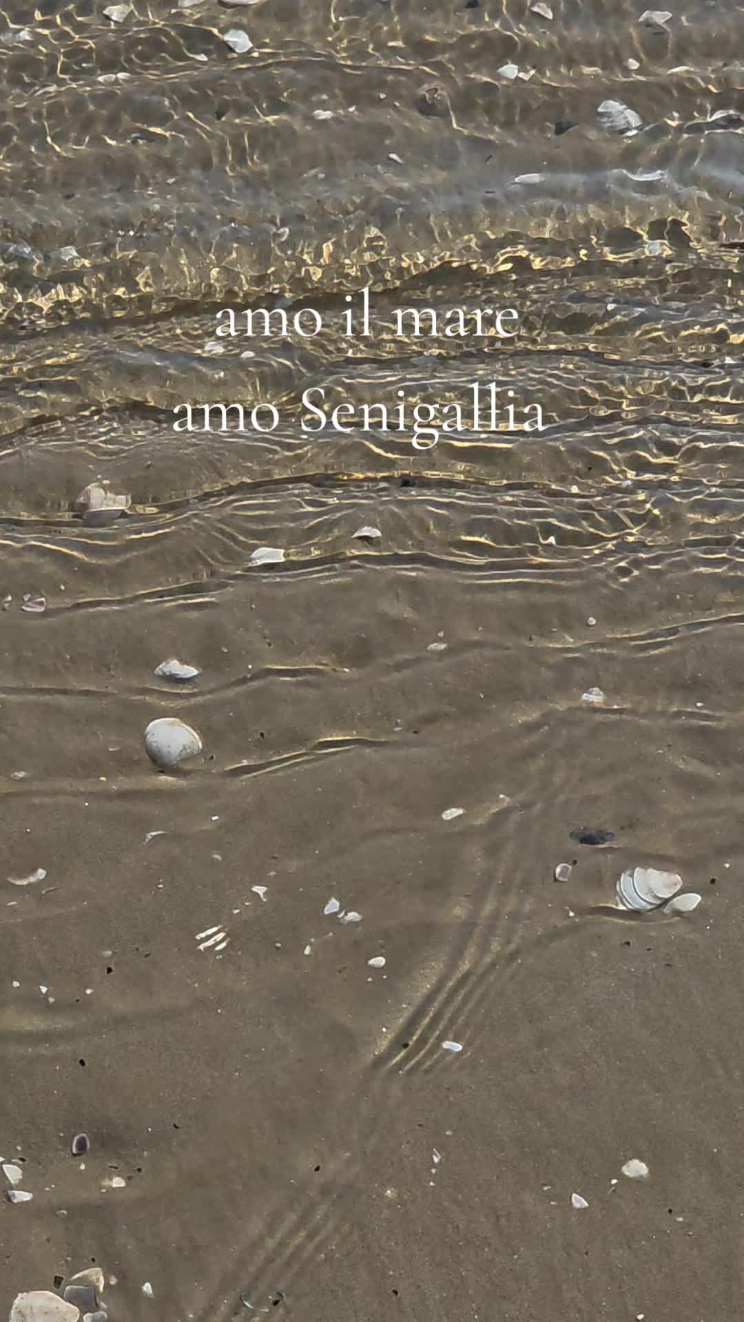 @mirta
