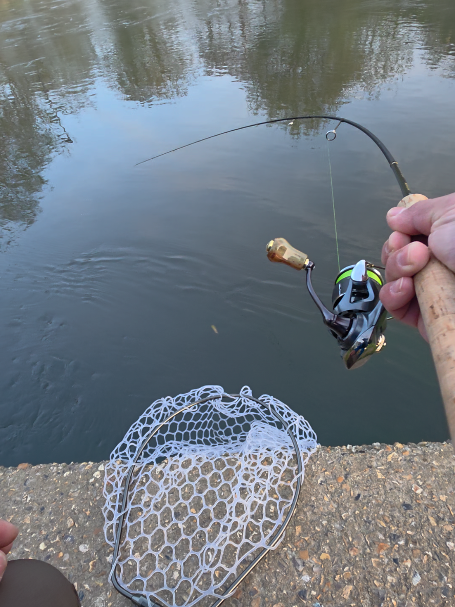 @BF Angler