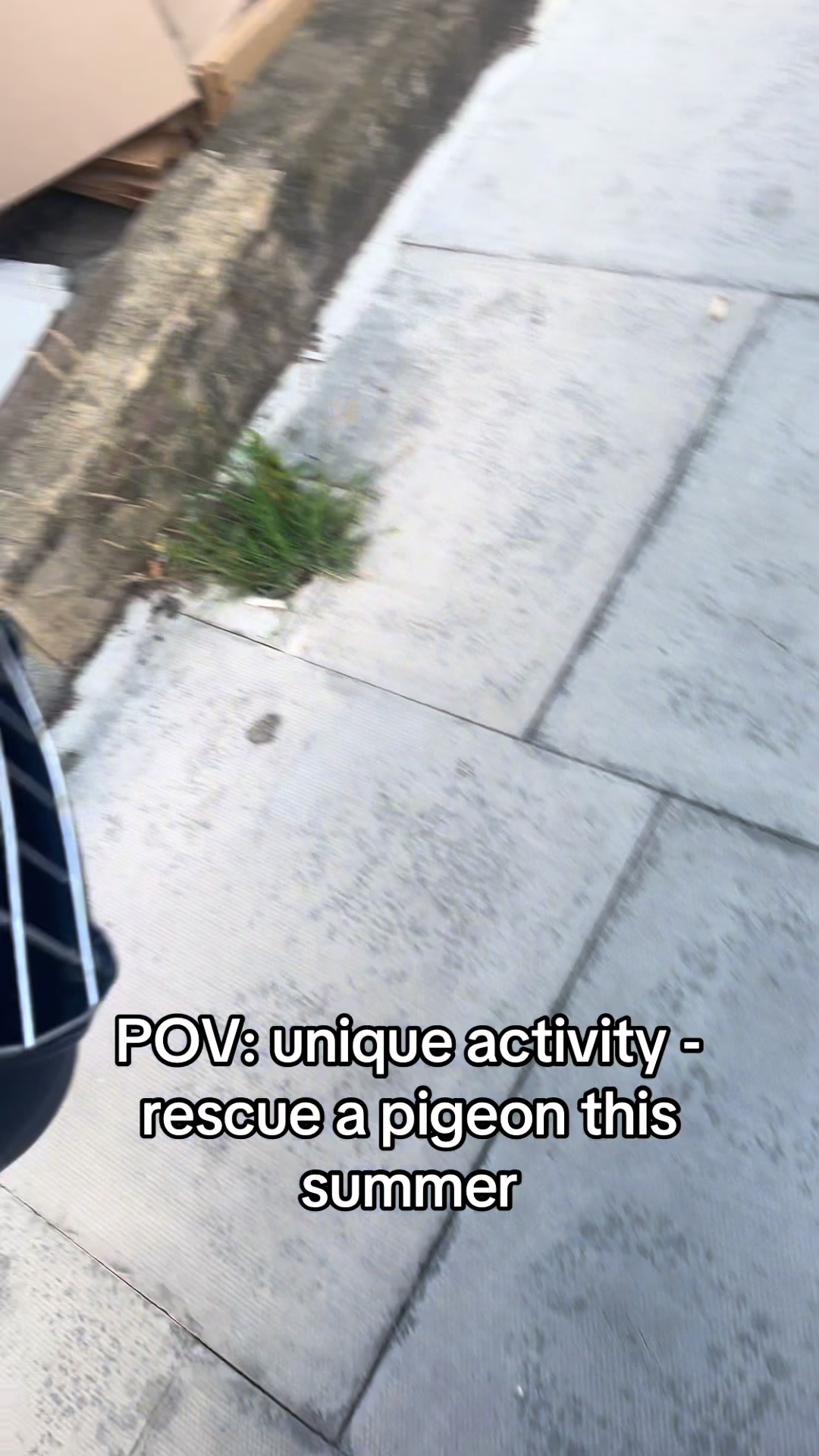 @JpgLOVER