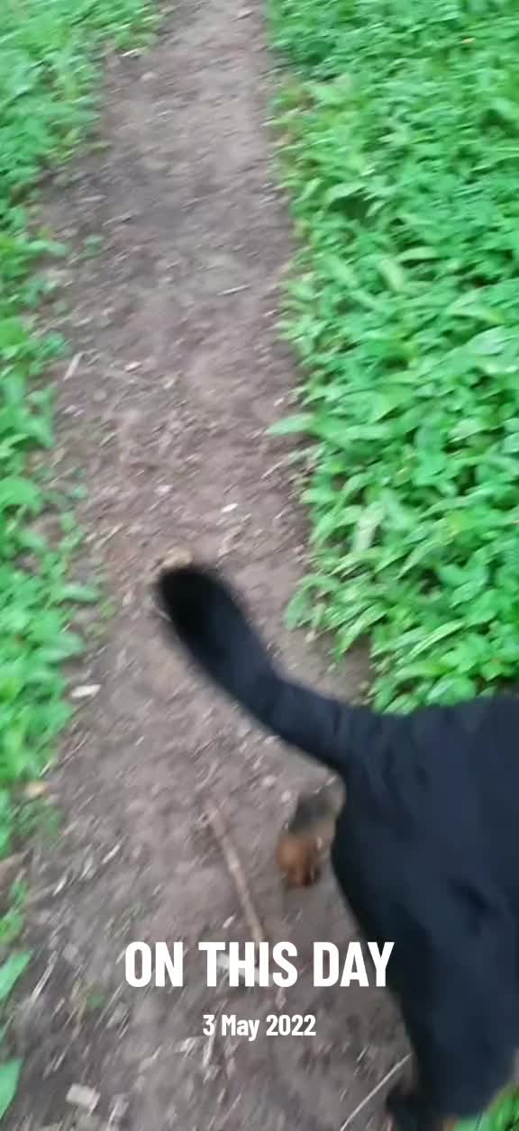@Alan