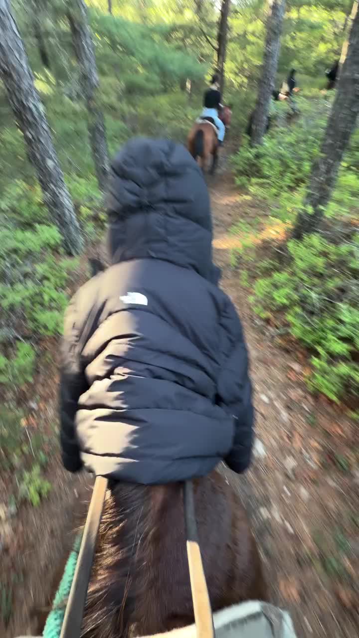 @ThunderGallops