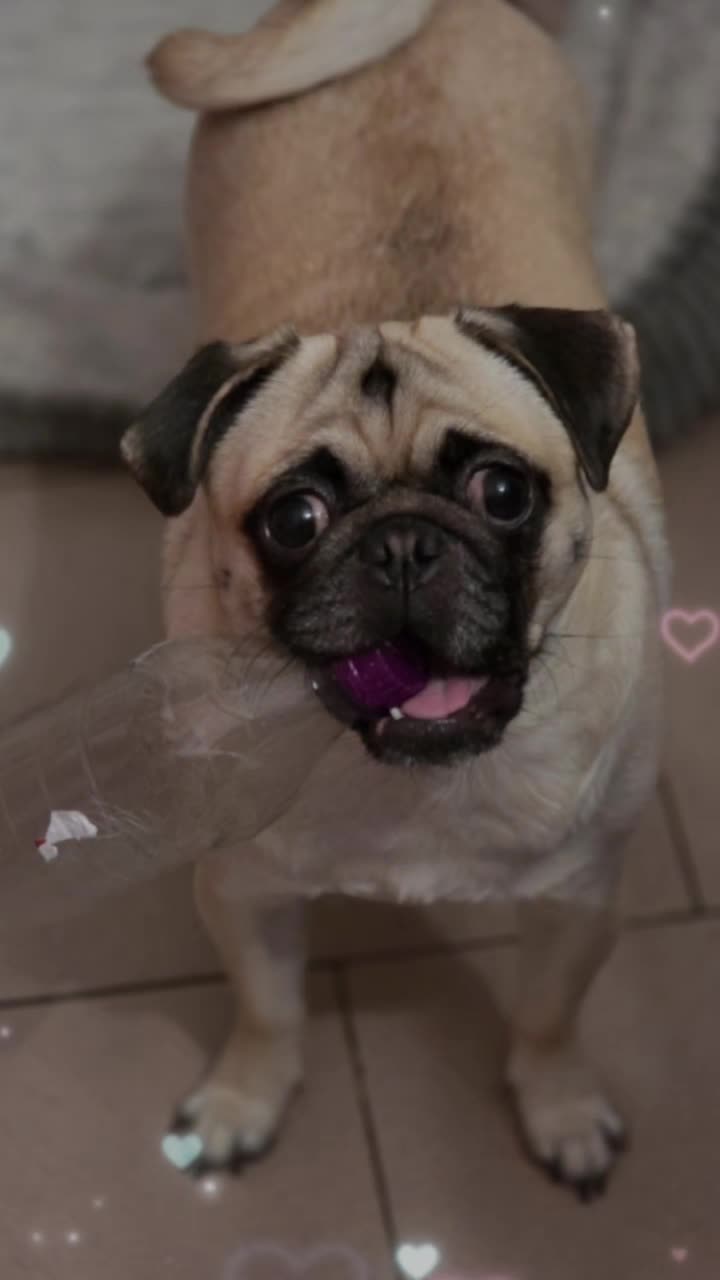 @Princesse-Iris ❤️