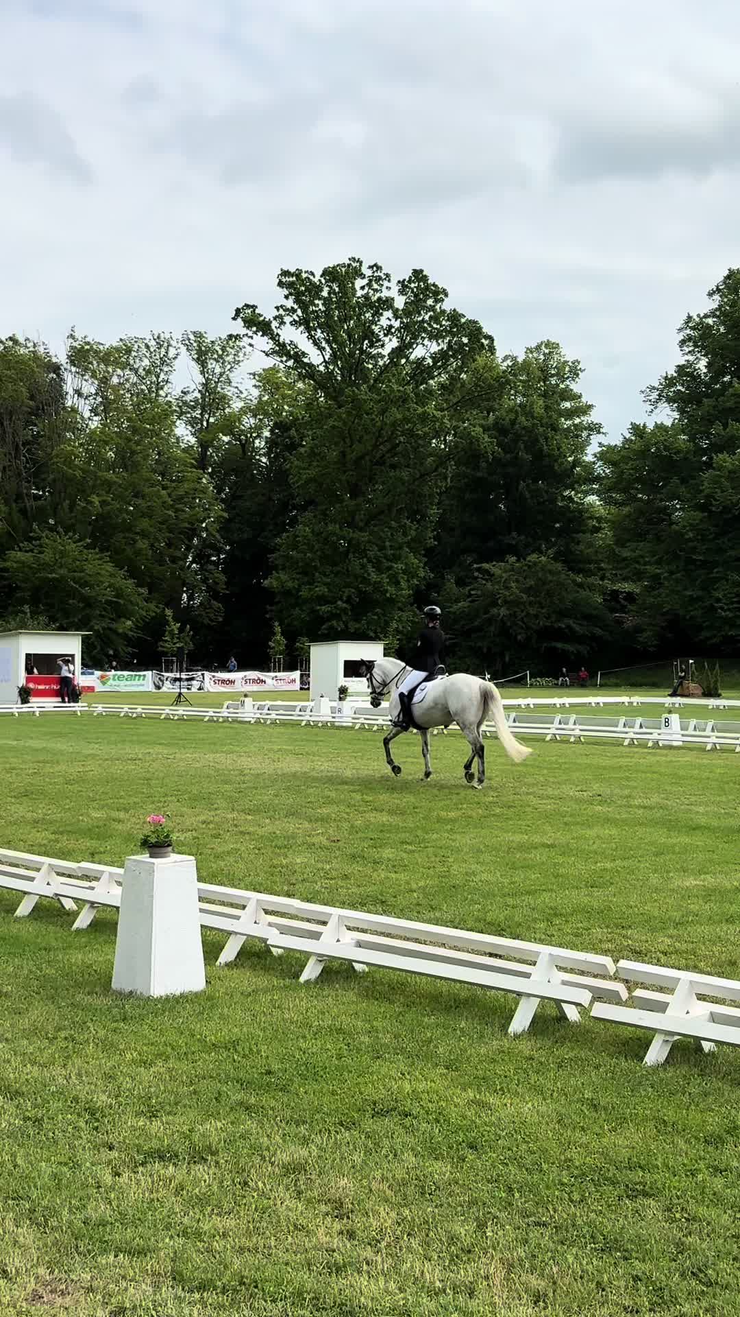 @lea_ponyeventing