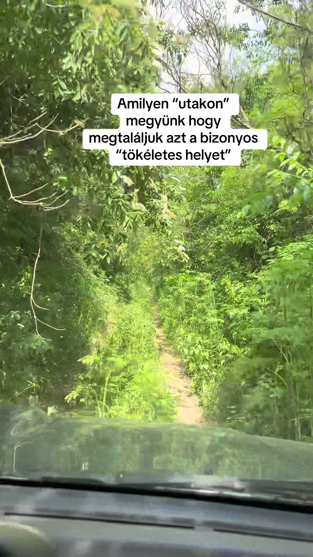 @Horváth Benedek