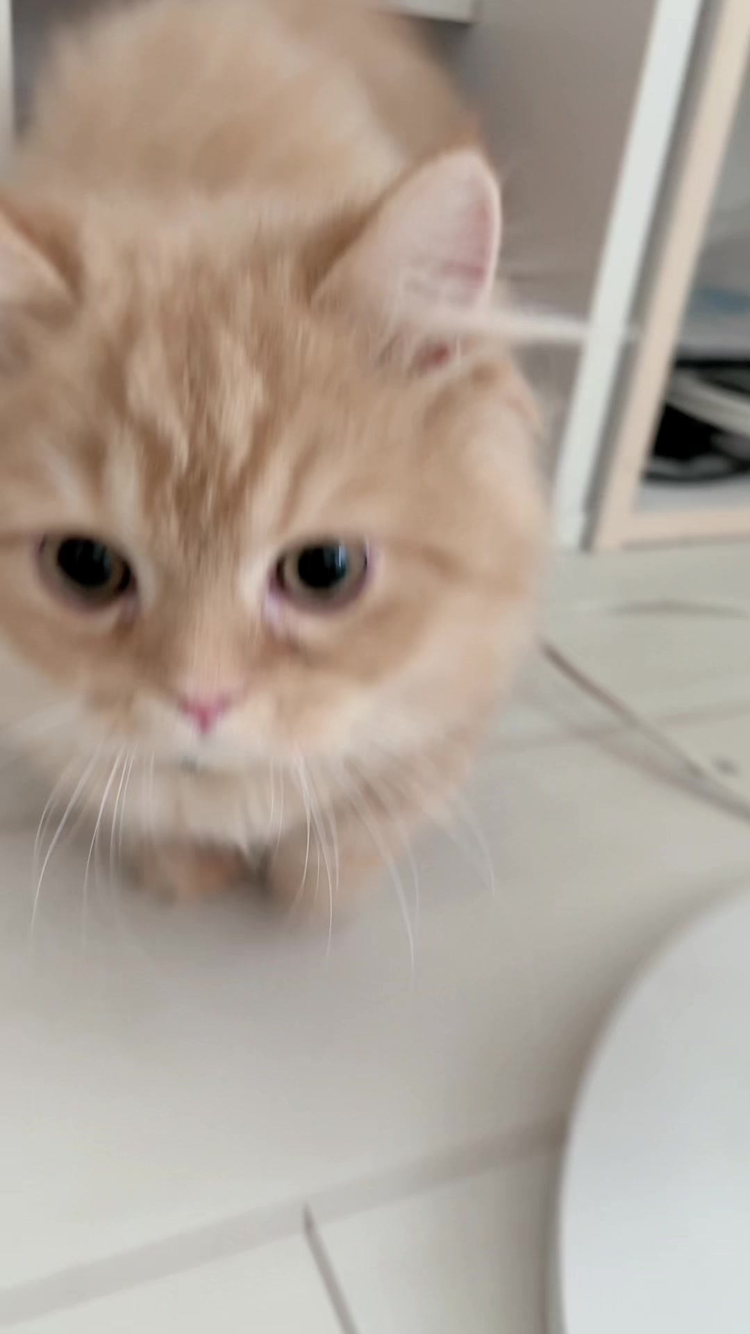 @๐ๆๆฅใฝใใ๐