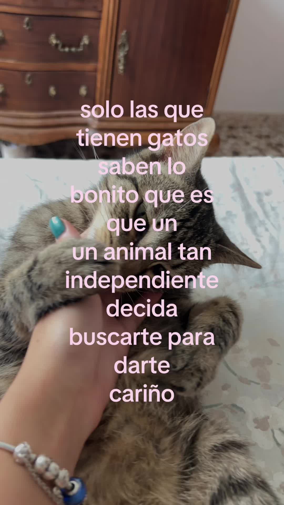 @ʀᴏxxᴀɴɴᴀ ༉
