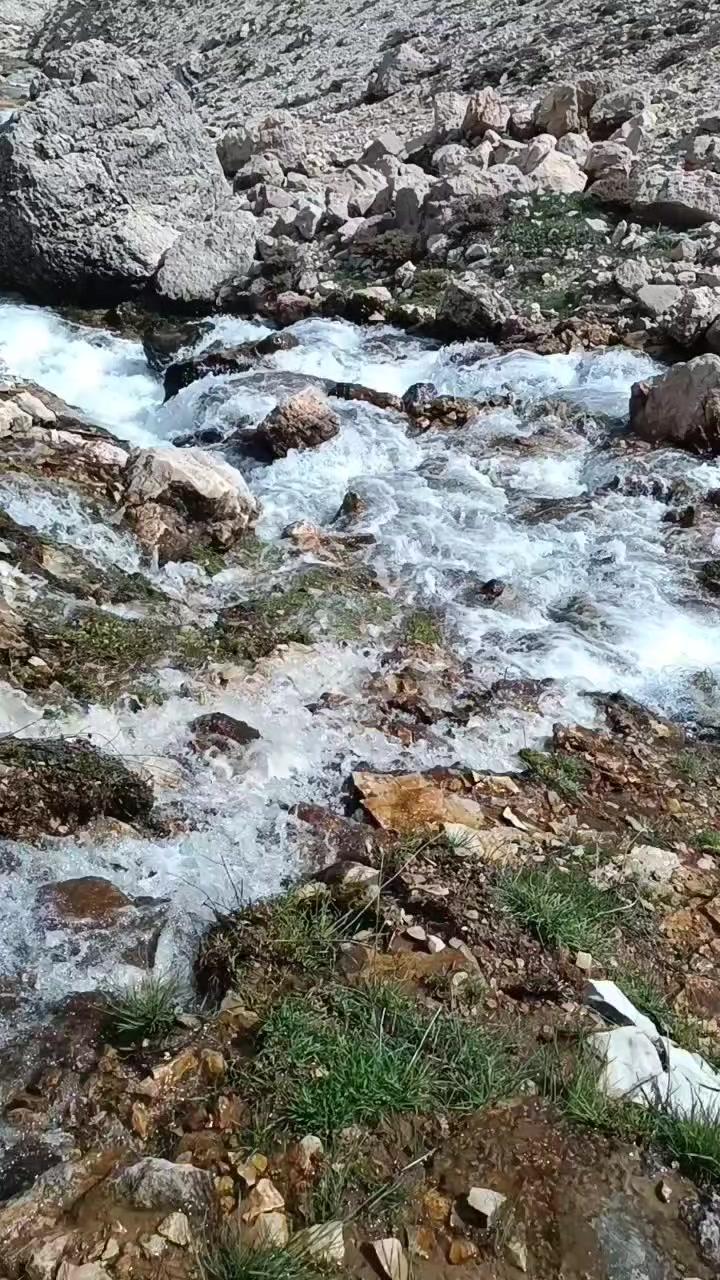 @DAĞCI.46