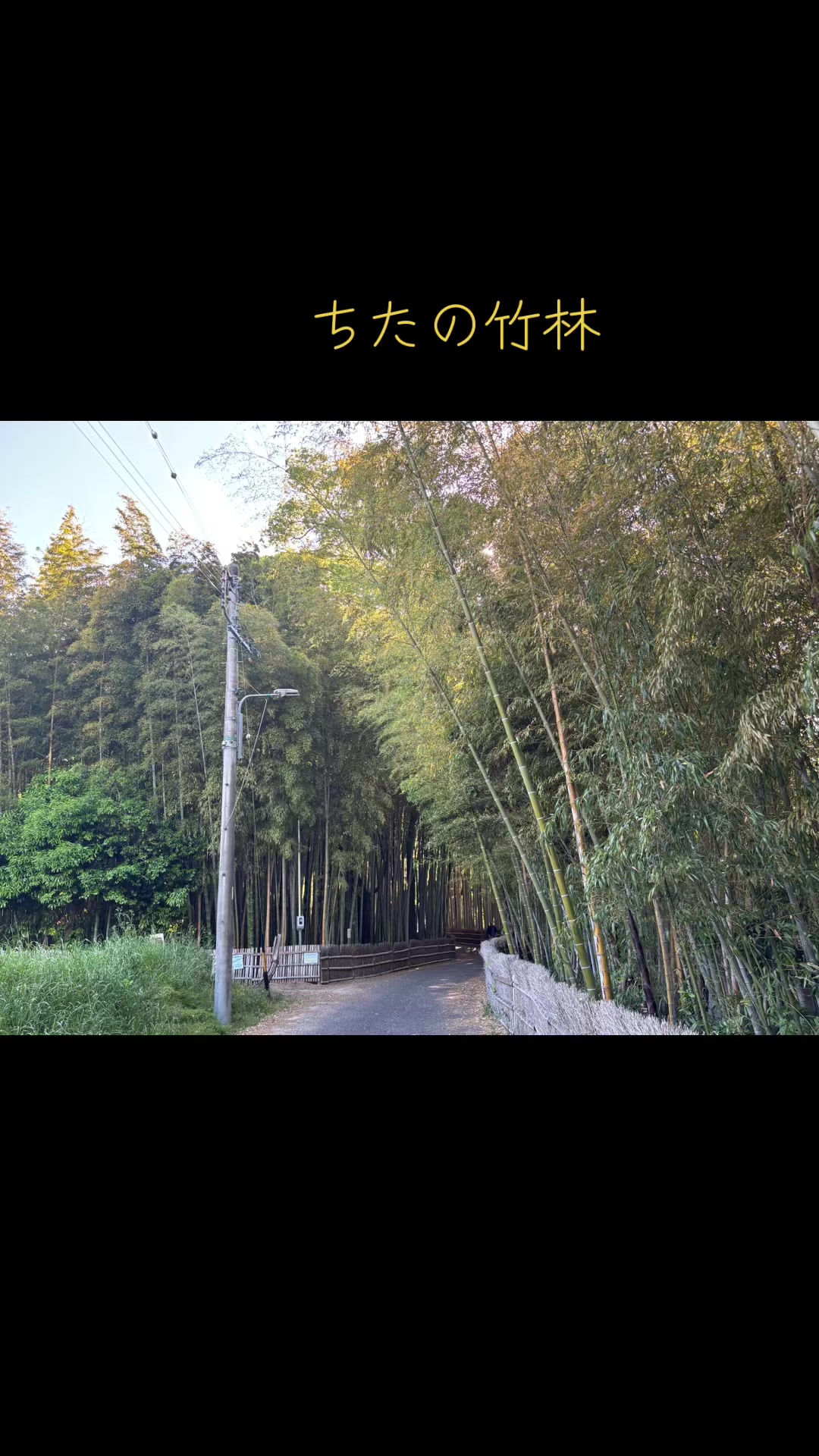 @ぜる