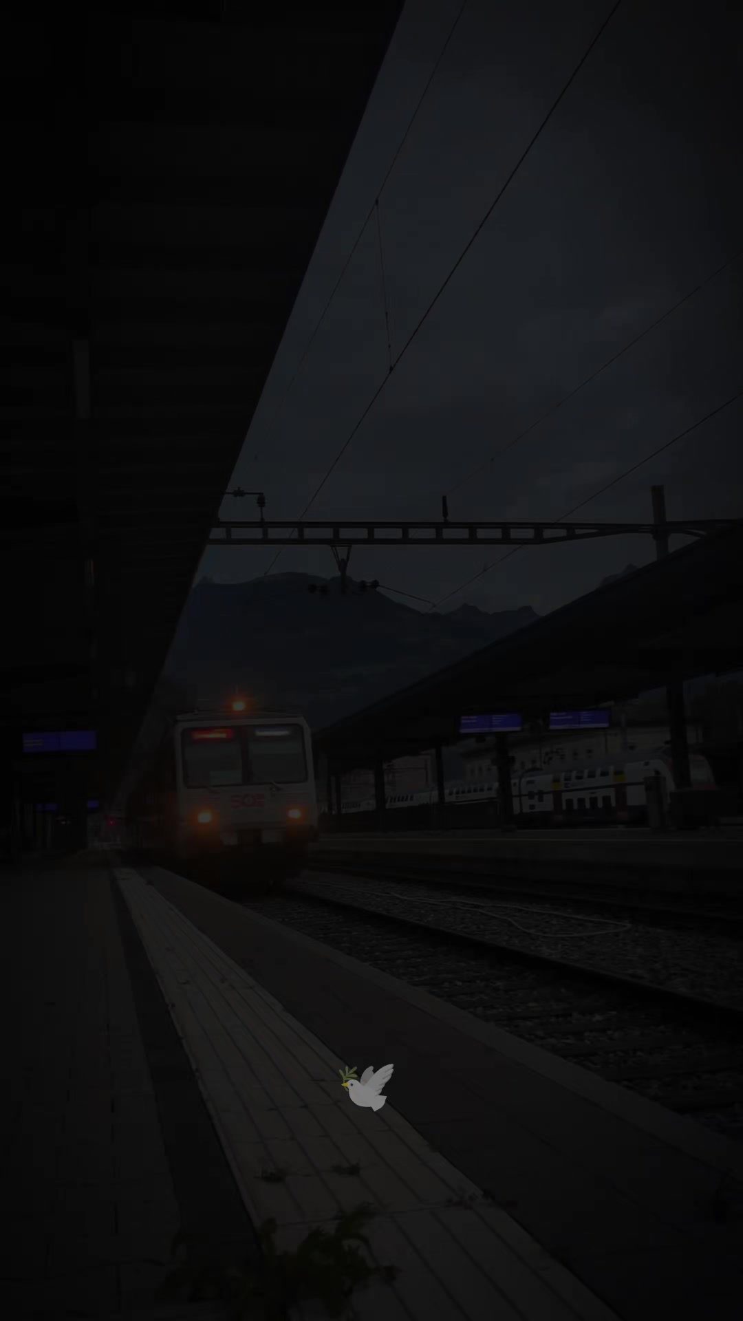 @M1k4.4l3x๐๐ซ A6-XWC