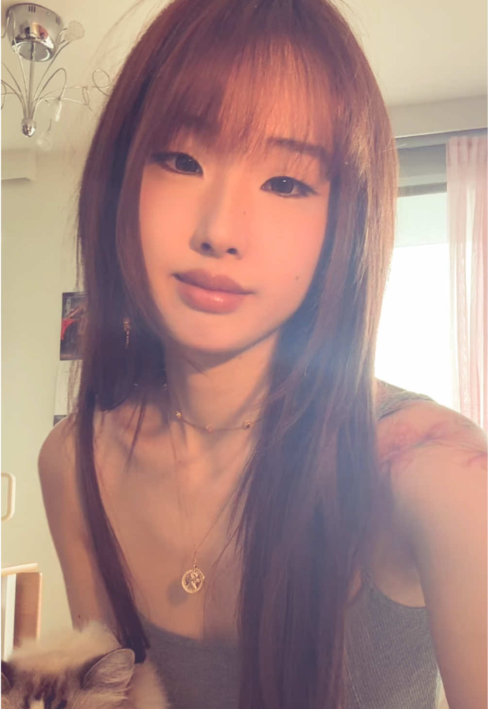 @𝒕𝒖𝒕𝒖