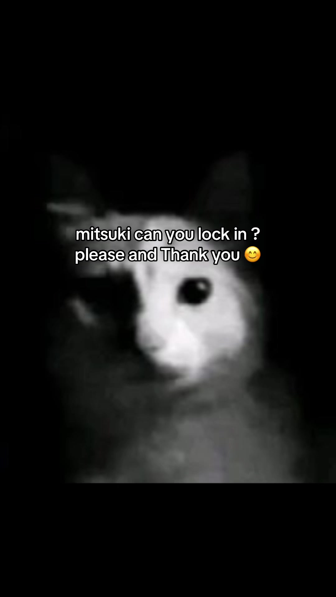 @aya ! ≽(•⩊ •マ≼