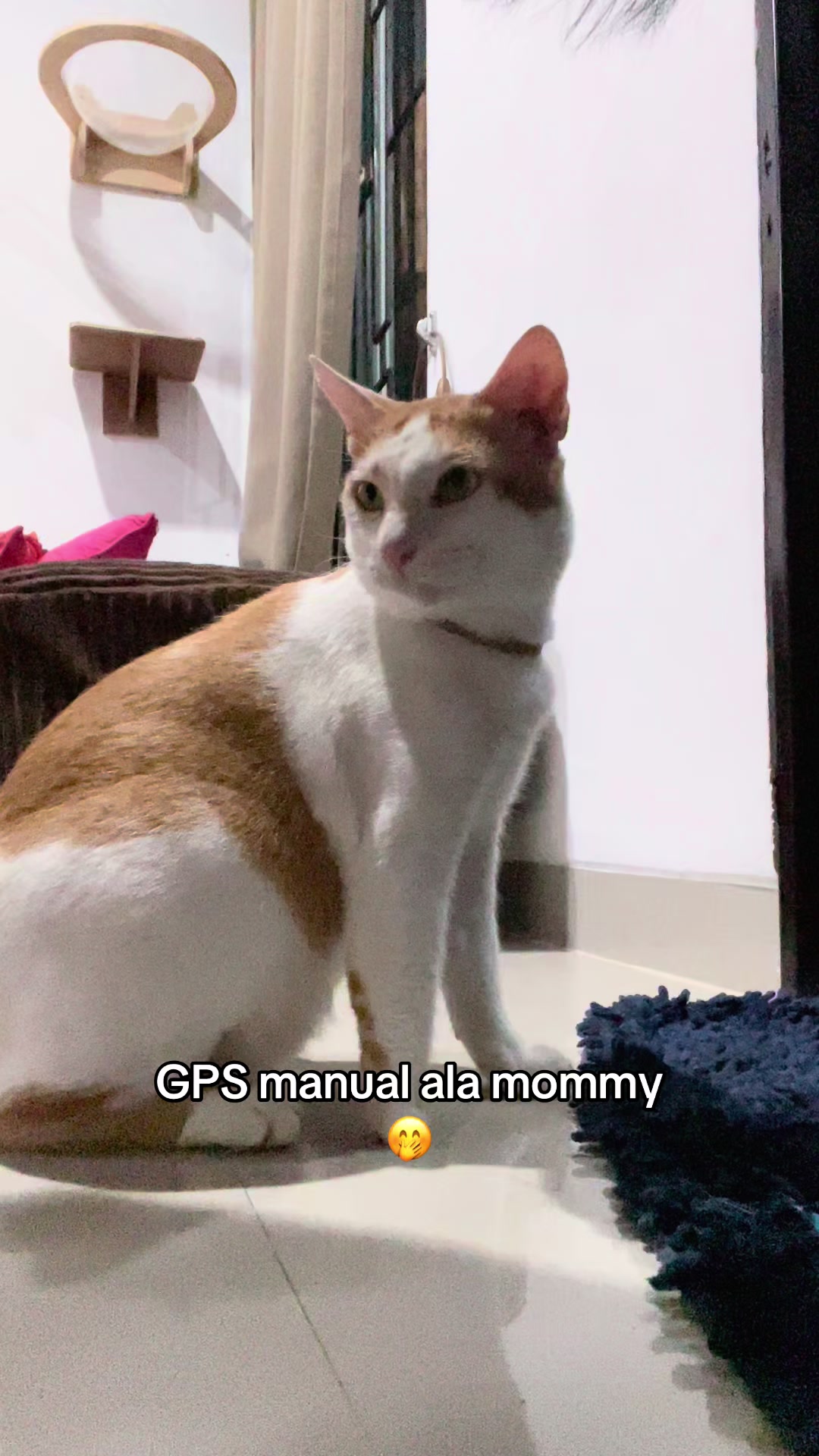@Mommy, Eyon & Oyenz