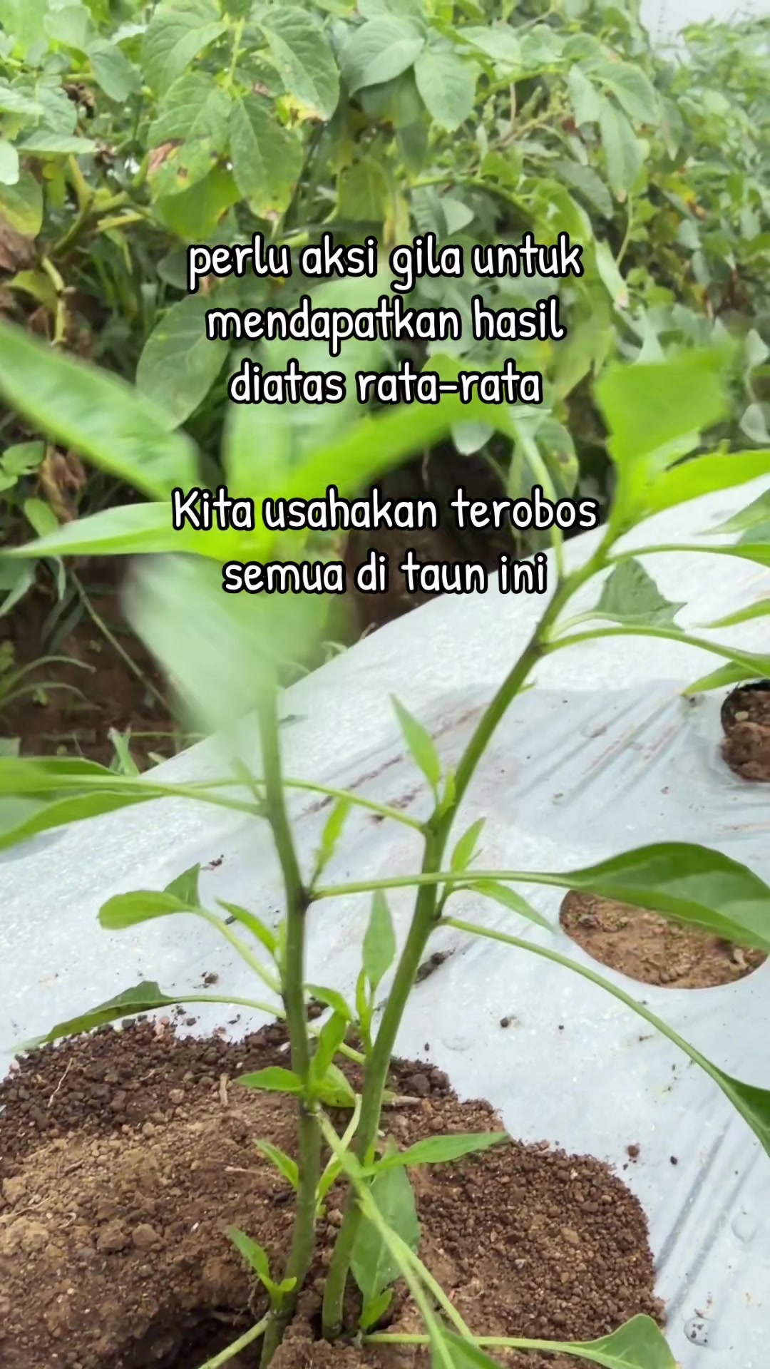 @nanda_setiawan_