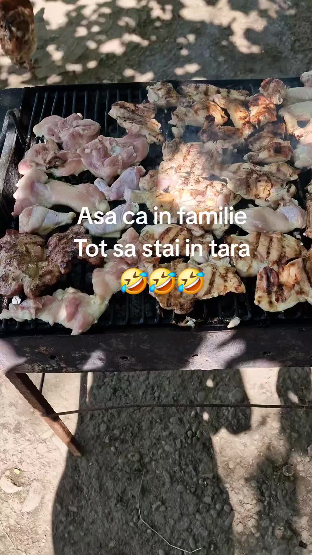 @iulianaalistar