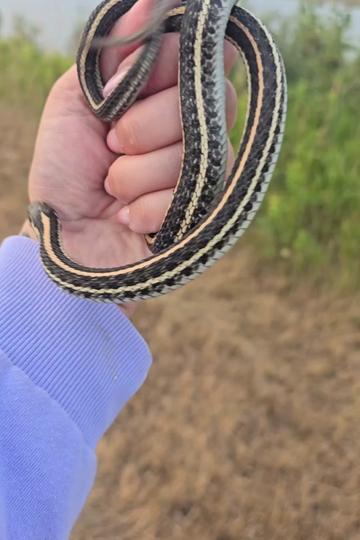 @Viper❤️H🐍Q🖤Queen