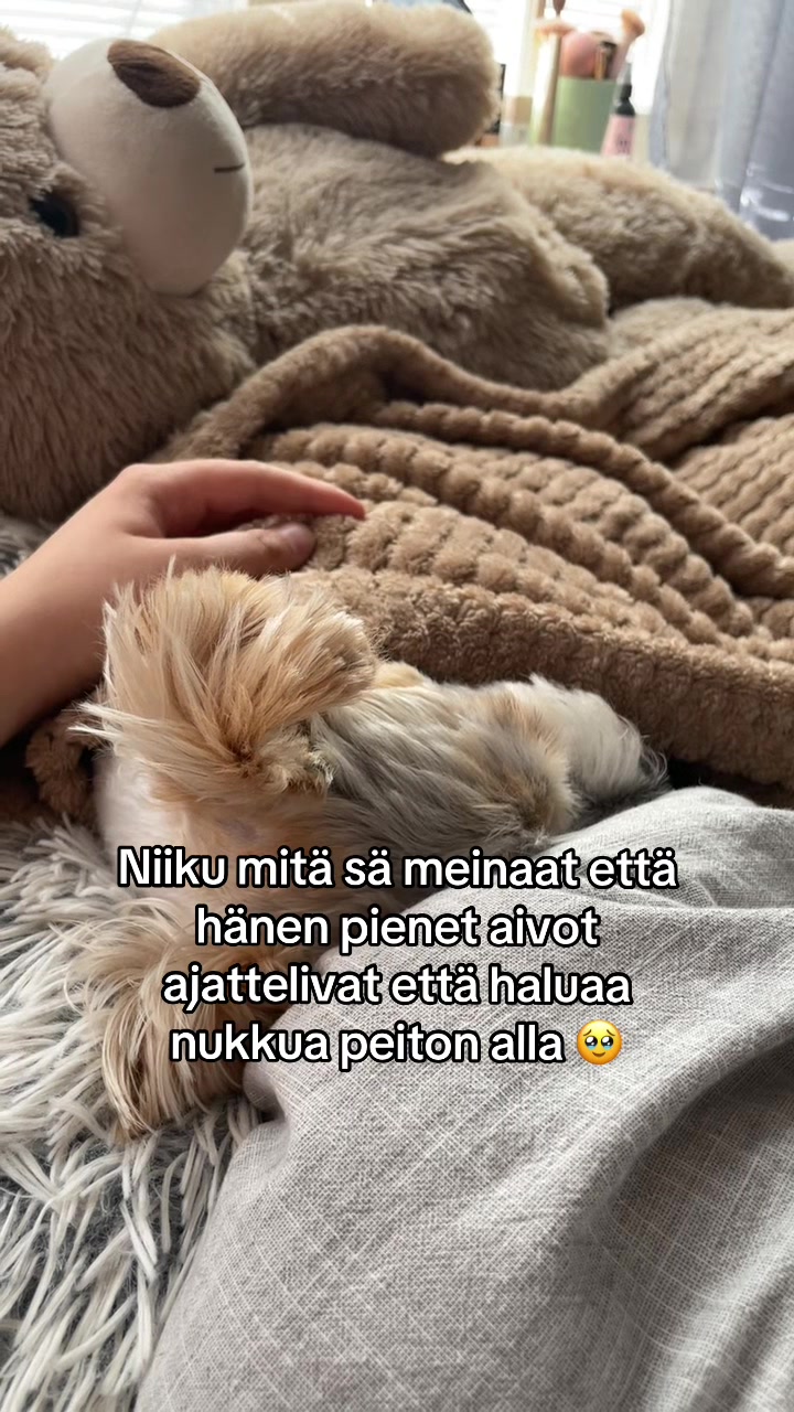 @๐ซ๐พ๐๐ฟ๐ถ๐