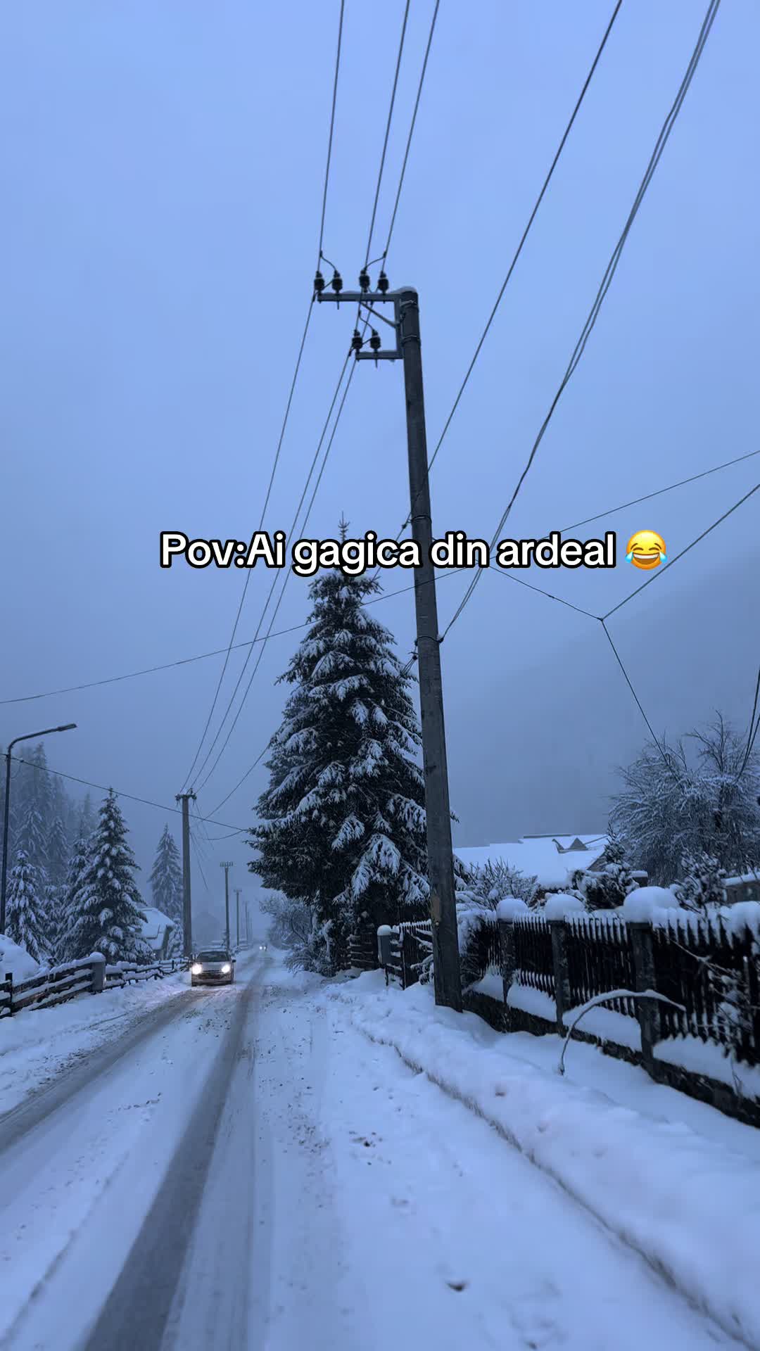 @Dici
