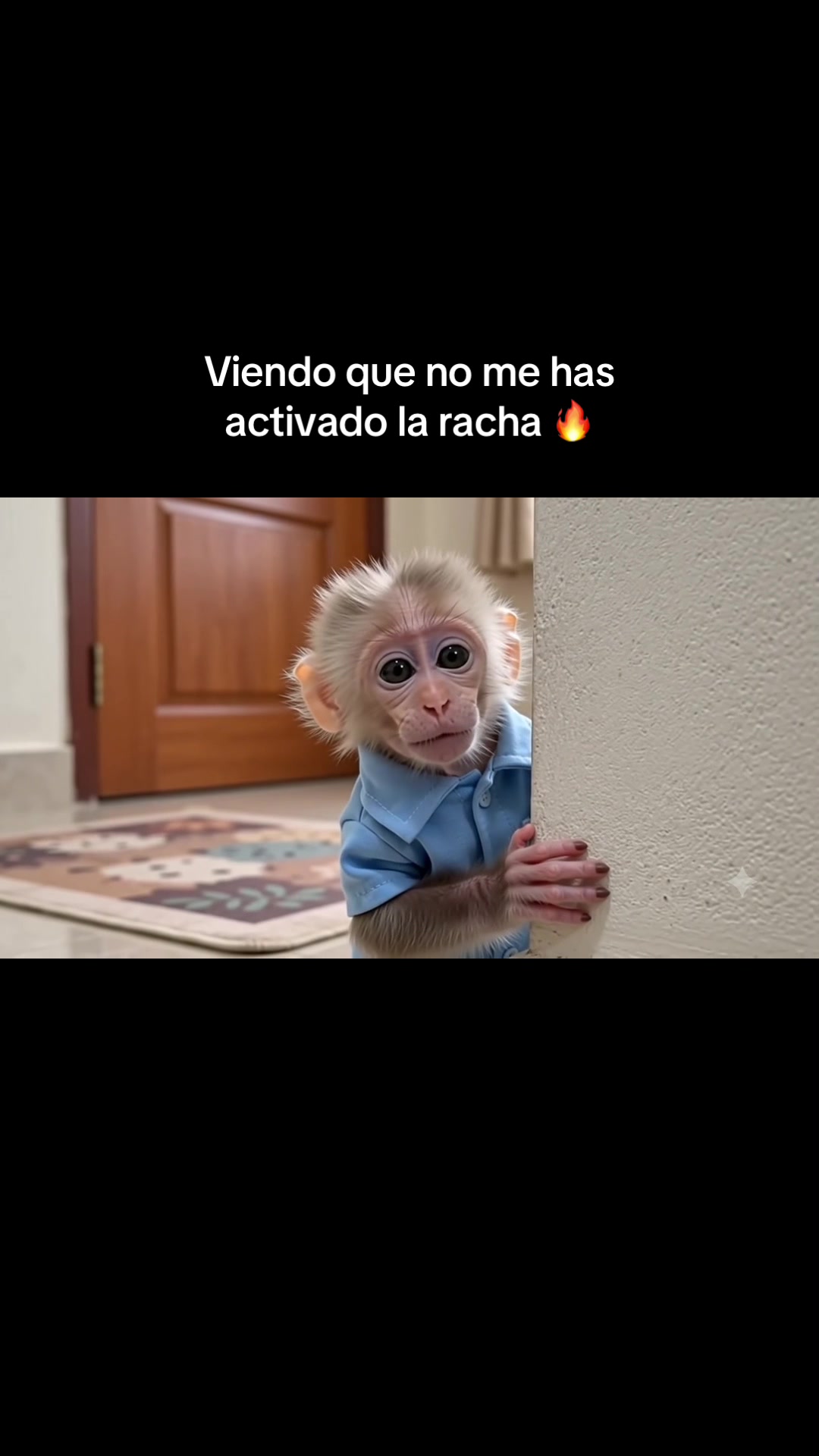 @RabPesito 🔥