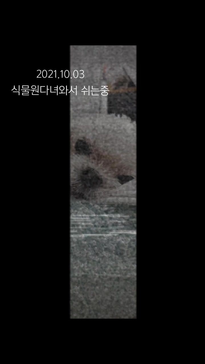 @초롱맘