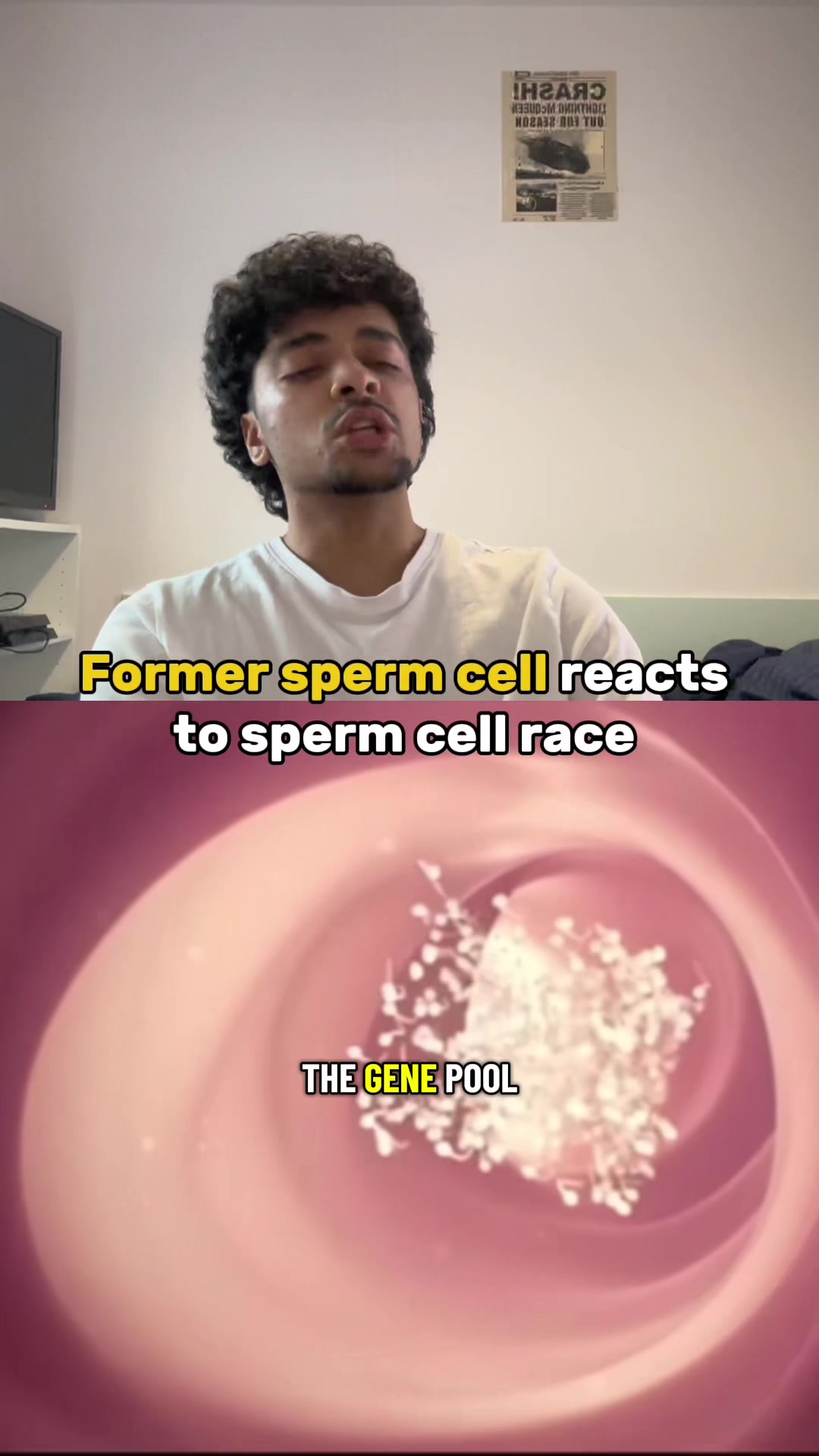 @doodooluffy