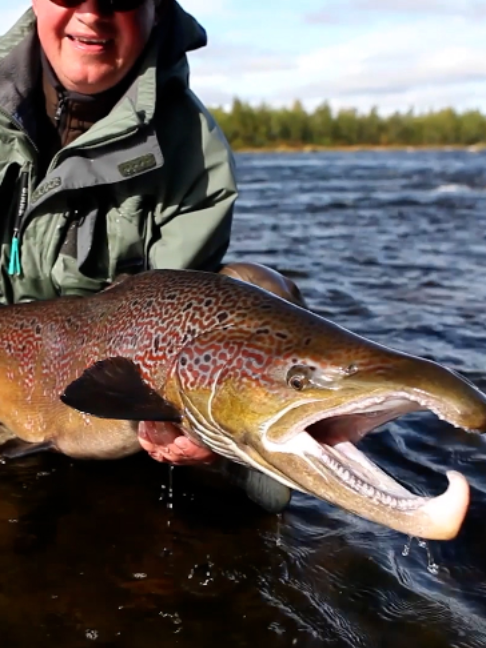 @Fishing TV