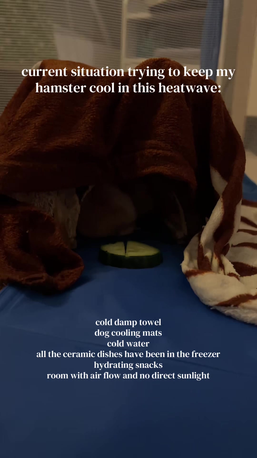 @Chloe & Mister Moomin
