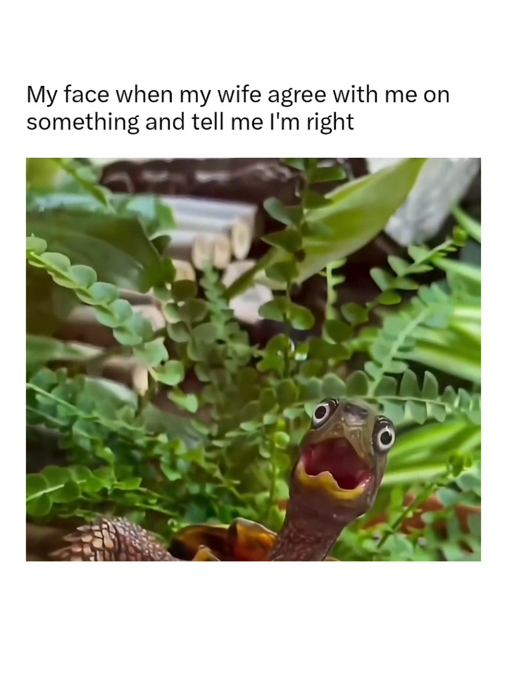 @Memezar
