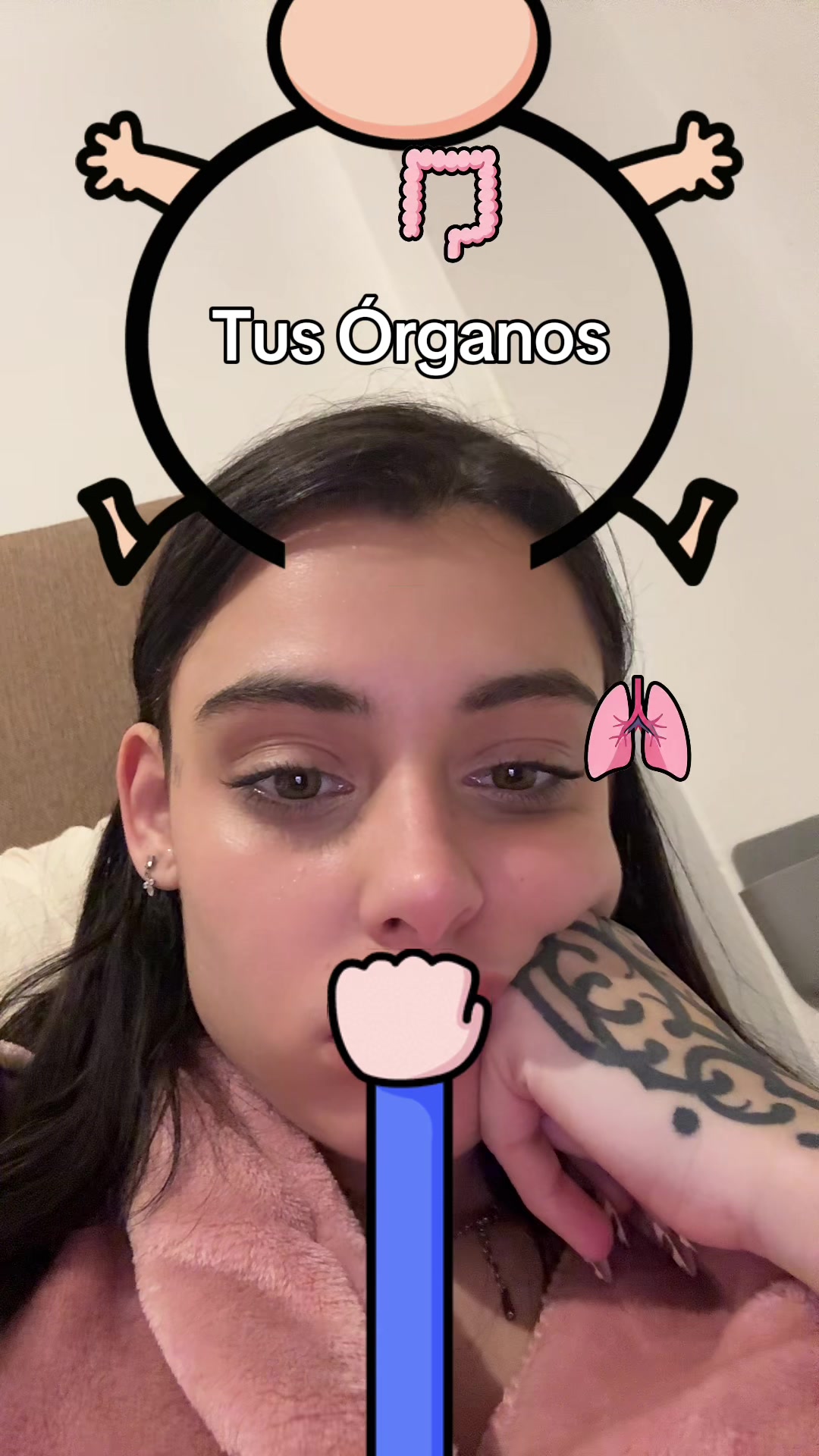 @sofifernandez08
