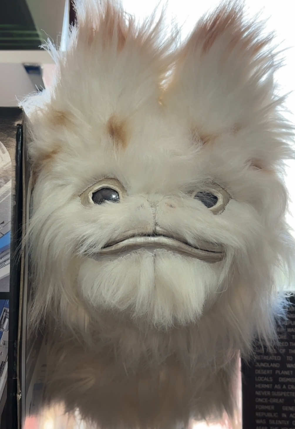@EssexShoreTrooper