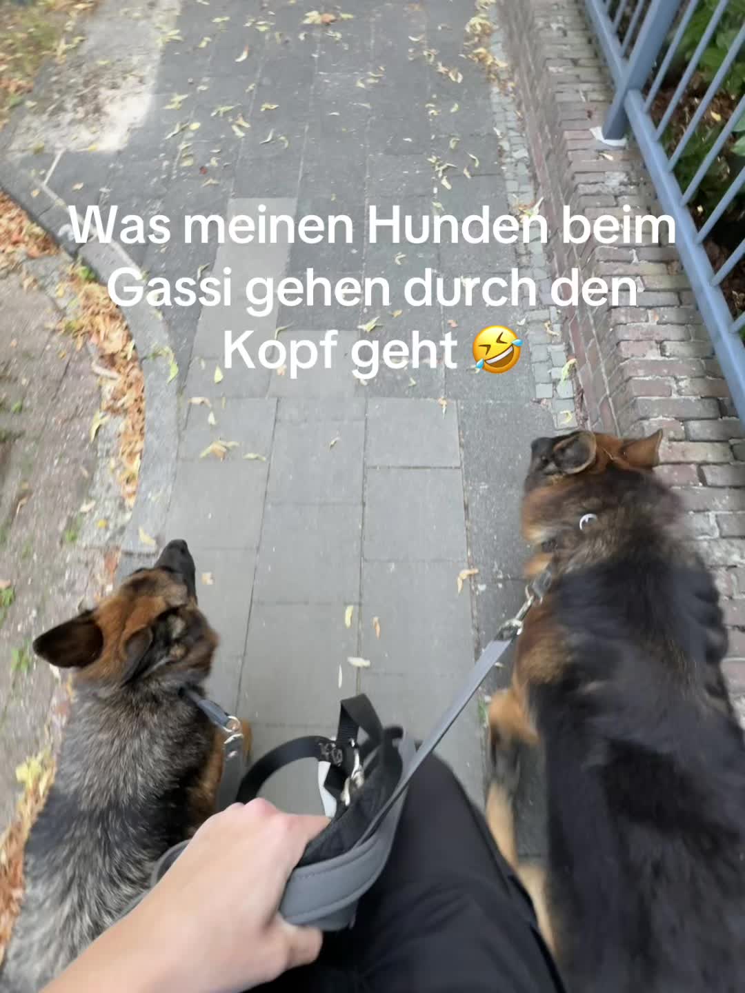 @Lisa-Marie