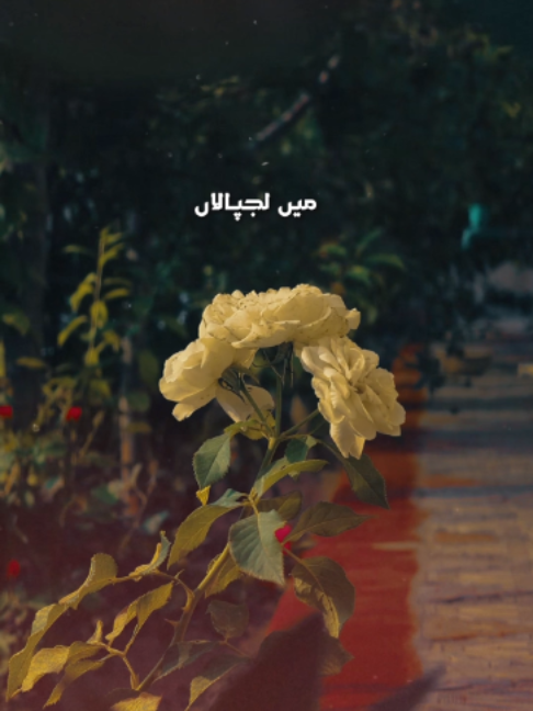 @𝗜𝗱𝗲𝗮𝗹 𝗔𝗱𝘀 𝟮.𝟬