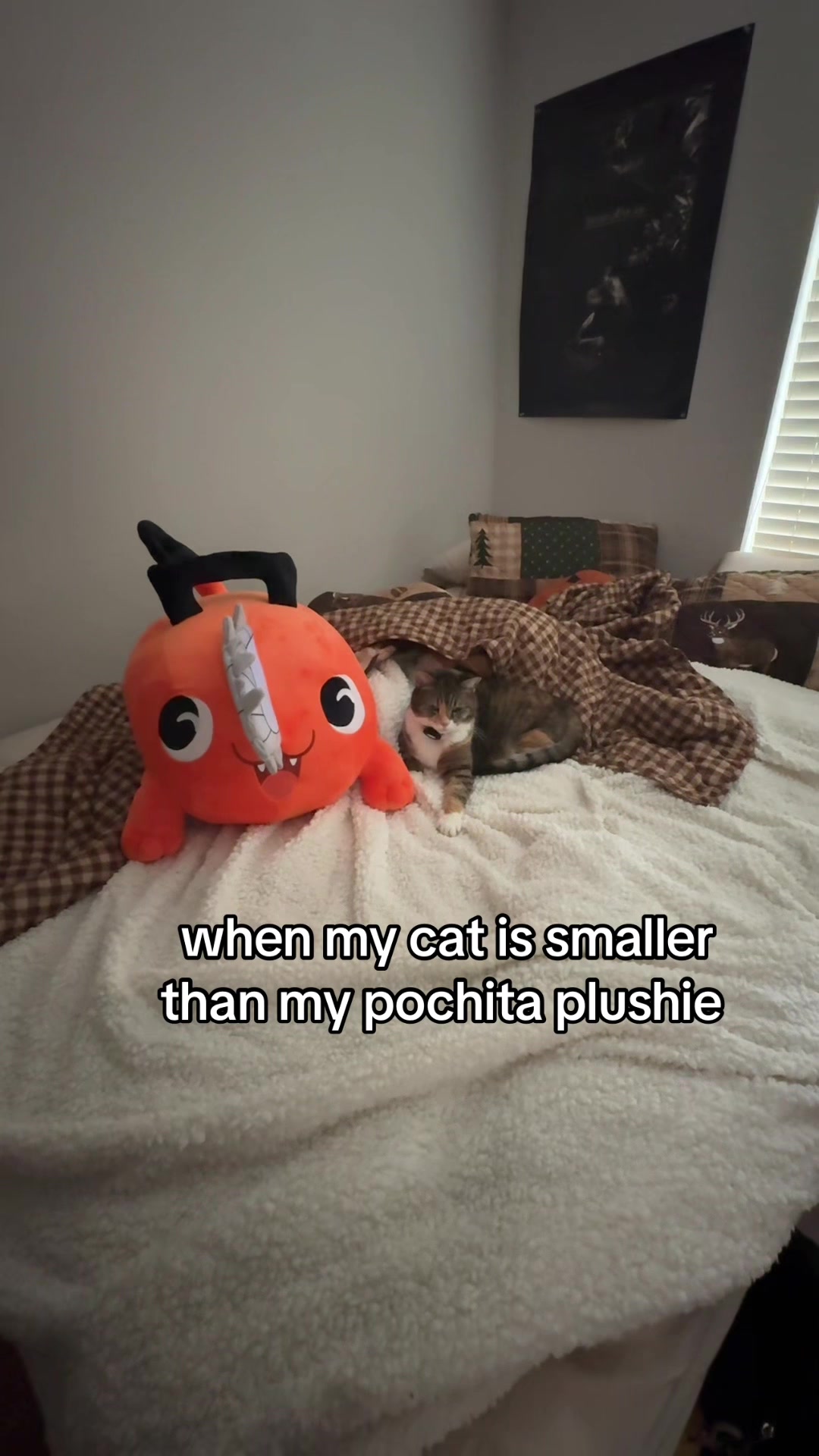 @boycervix
