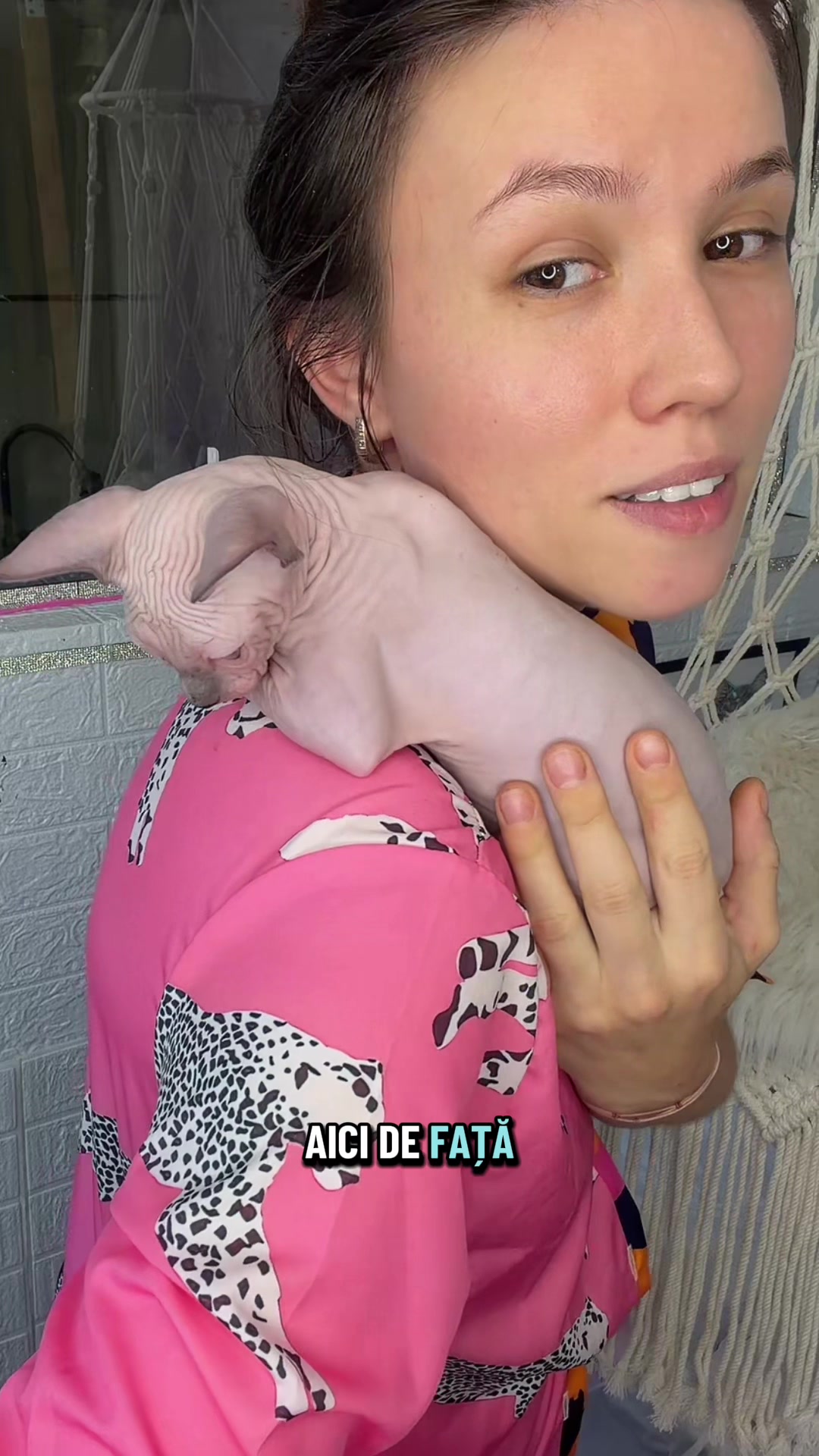 @Diana Ciortan Sphynx Romania