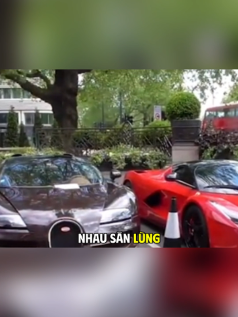 @Vương Gia Vọng Tộc