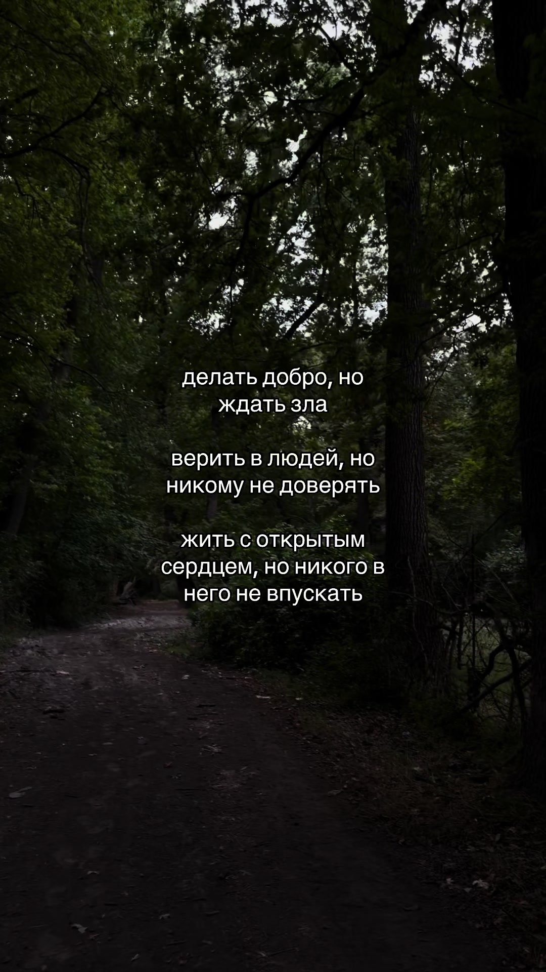 @kmmmmkkmkk