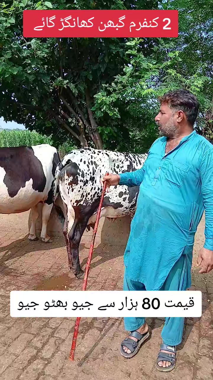 @Farming and Business Ideas