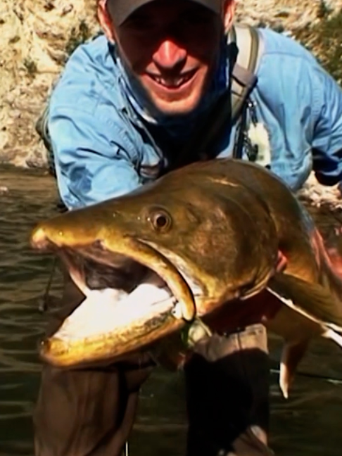@Fishing TV