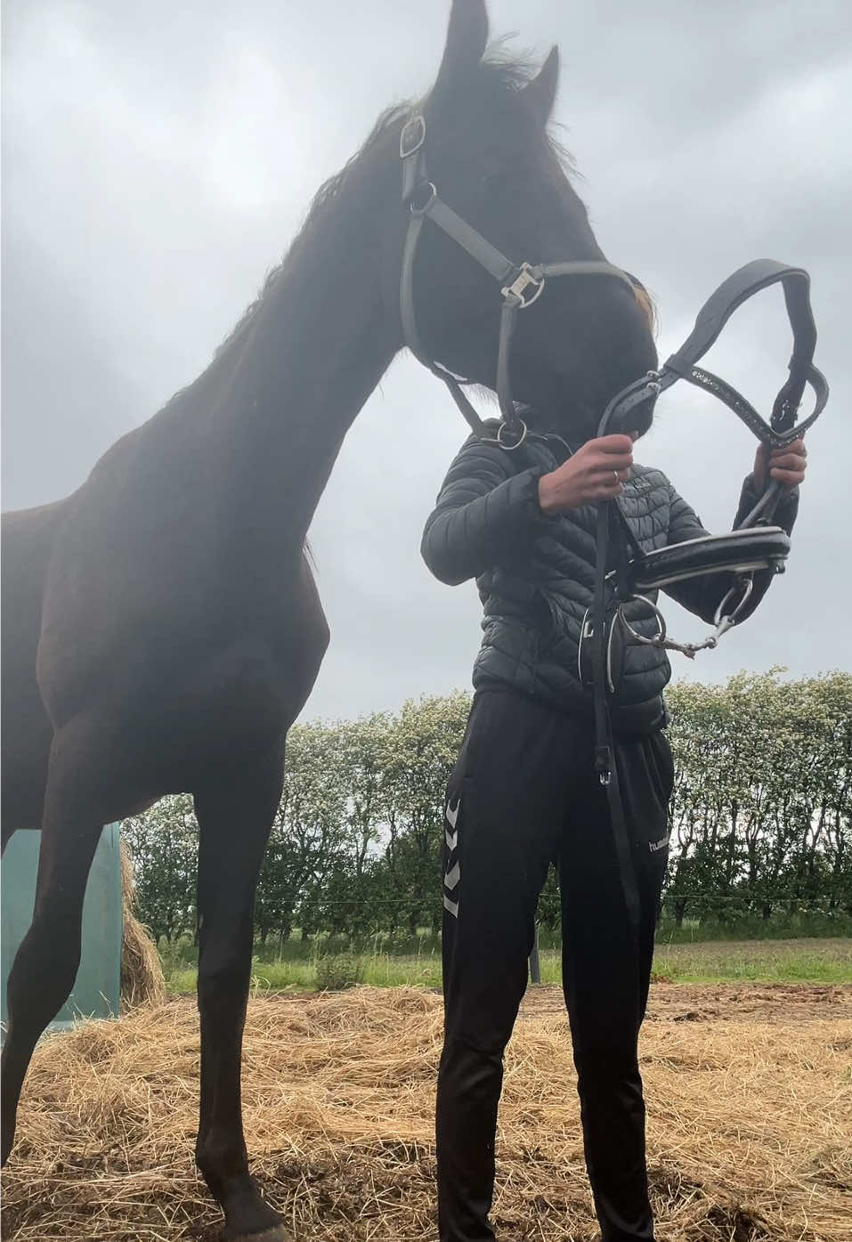 @rask_horses