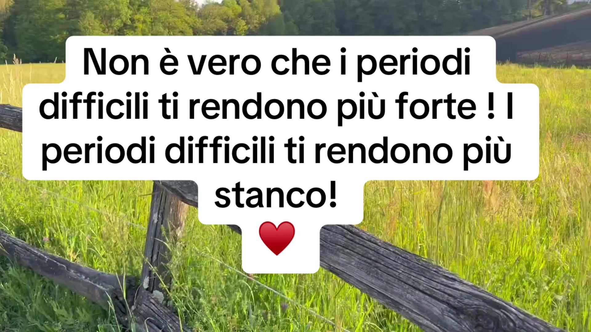 @Baby J.J ♥️