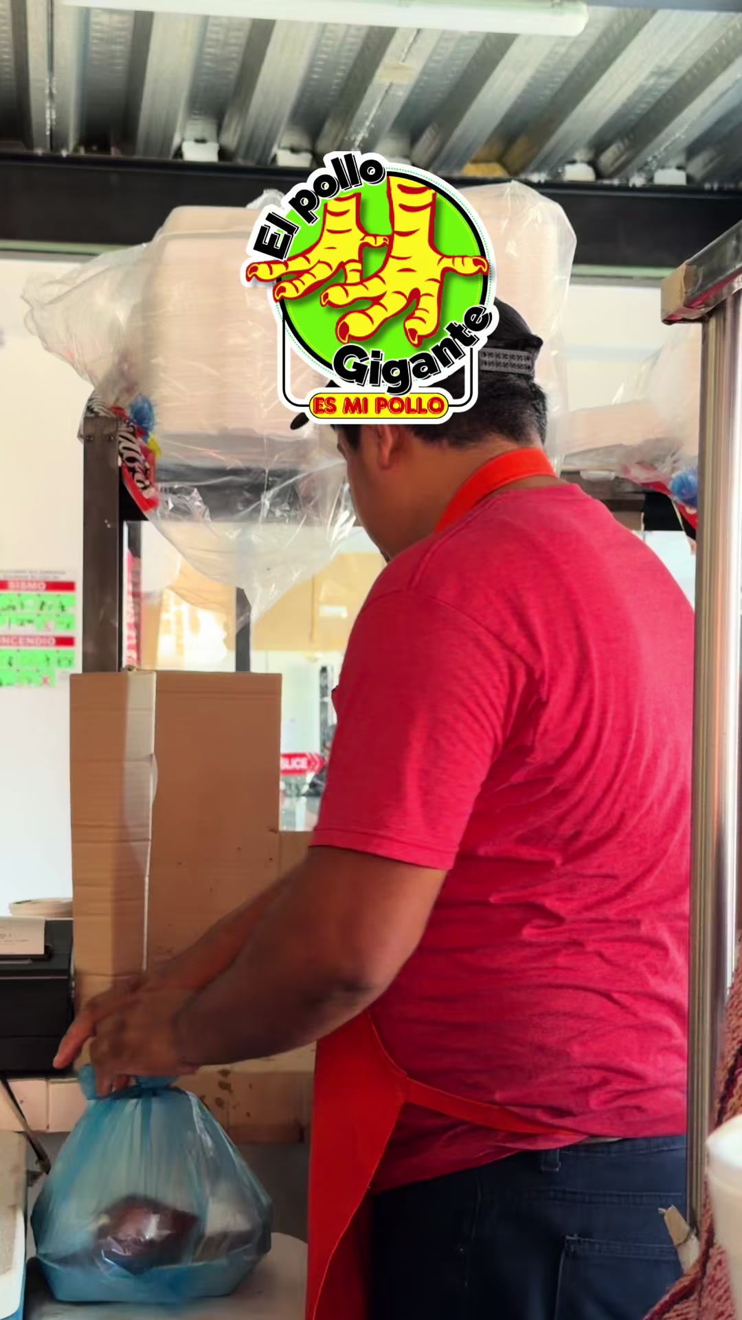 @elpollogigantee