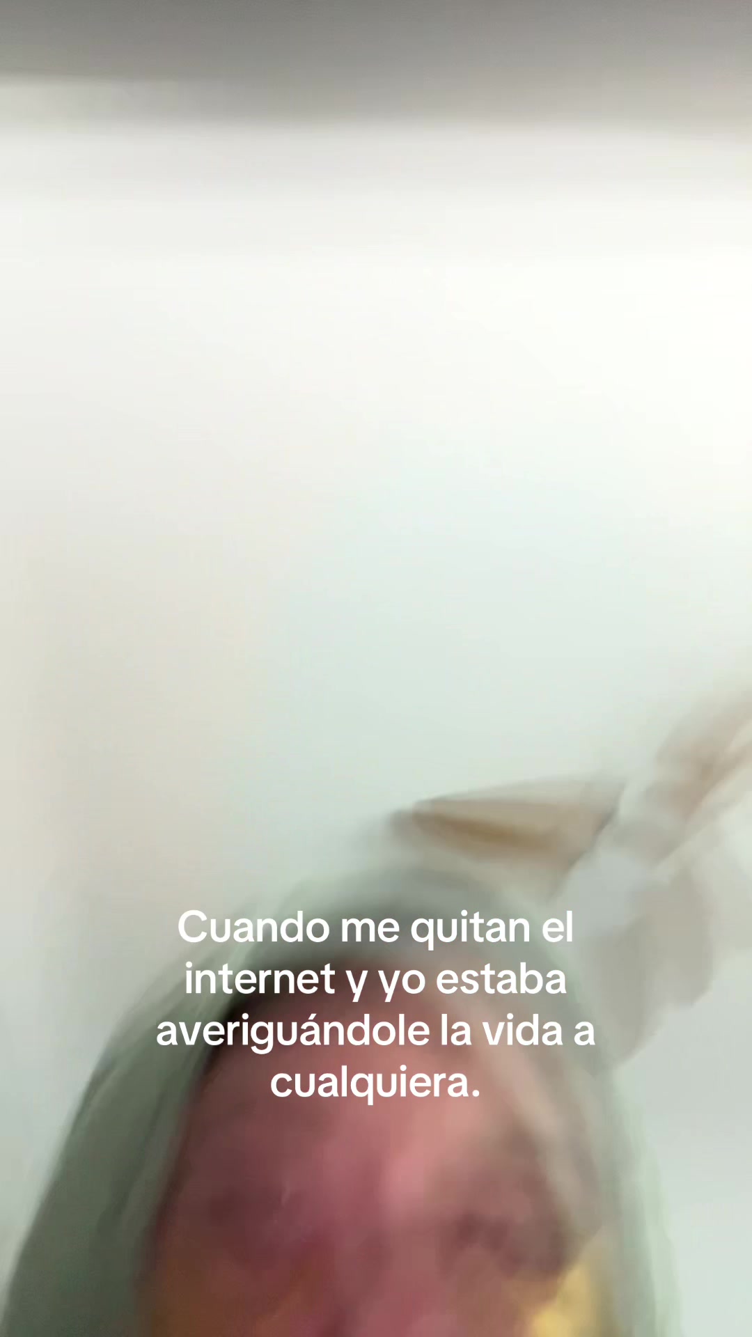 @meryfly🦖