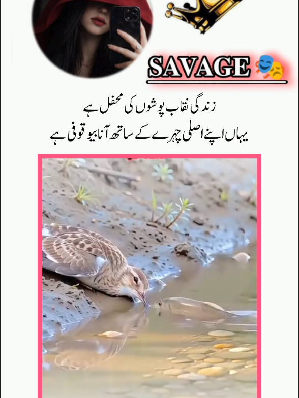 @𝐒𝐀𝐕𝐀𝐆𝐄 🎭