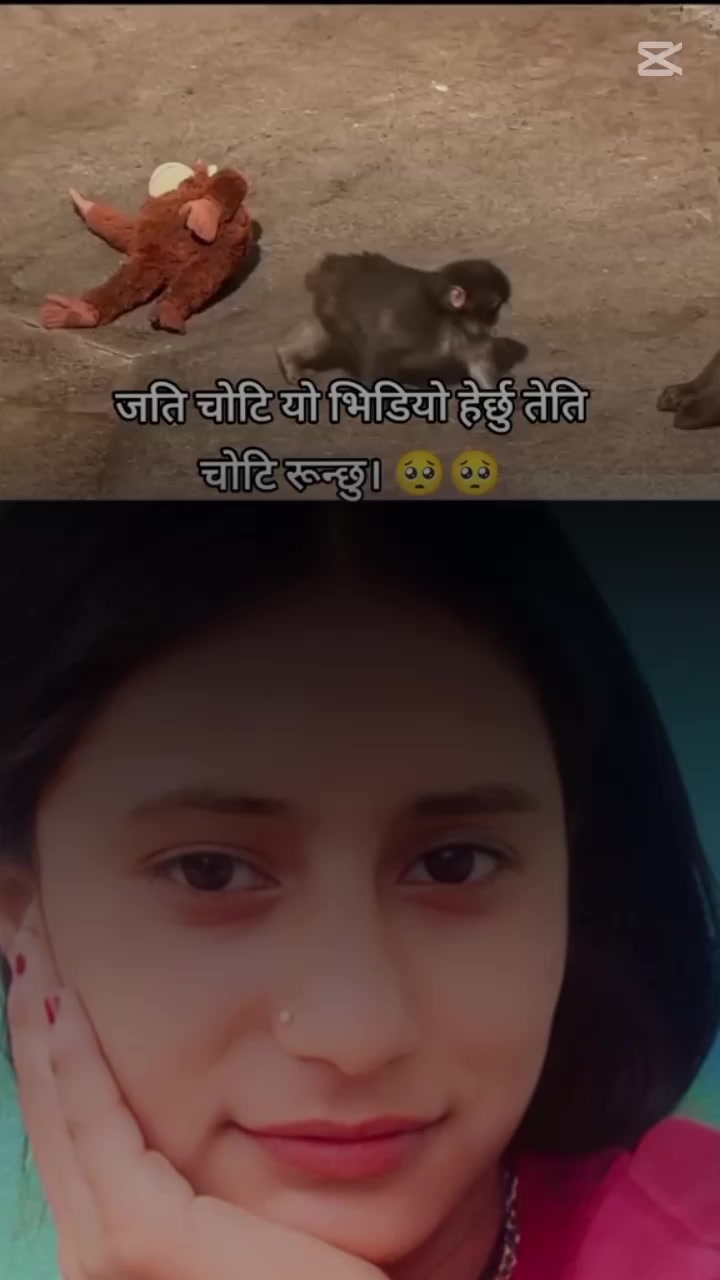 @🌹ƙœpű. 🌹⚘️🌷🪷