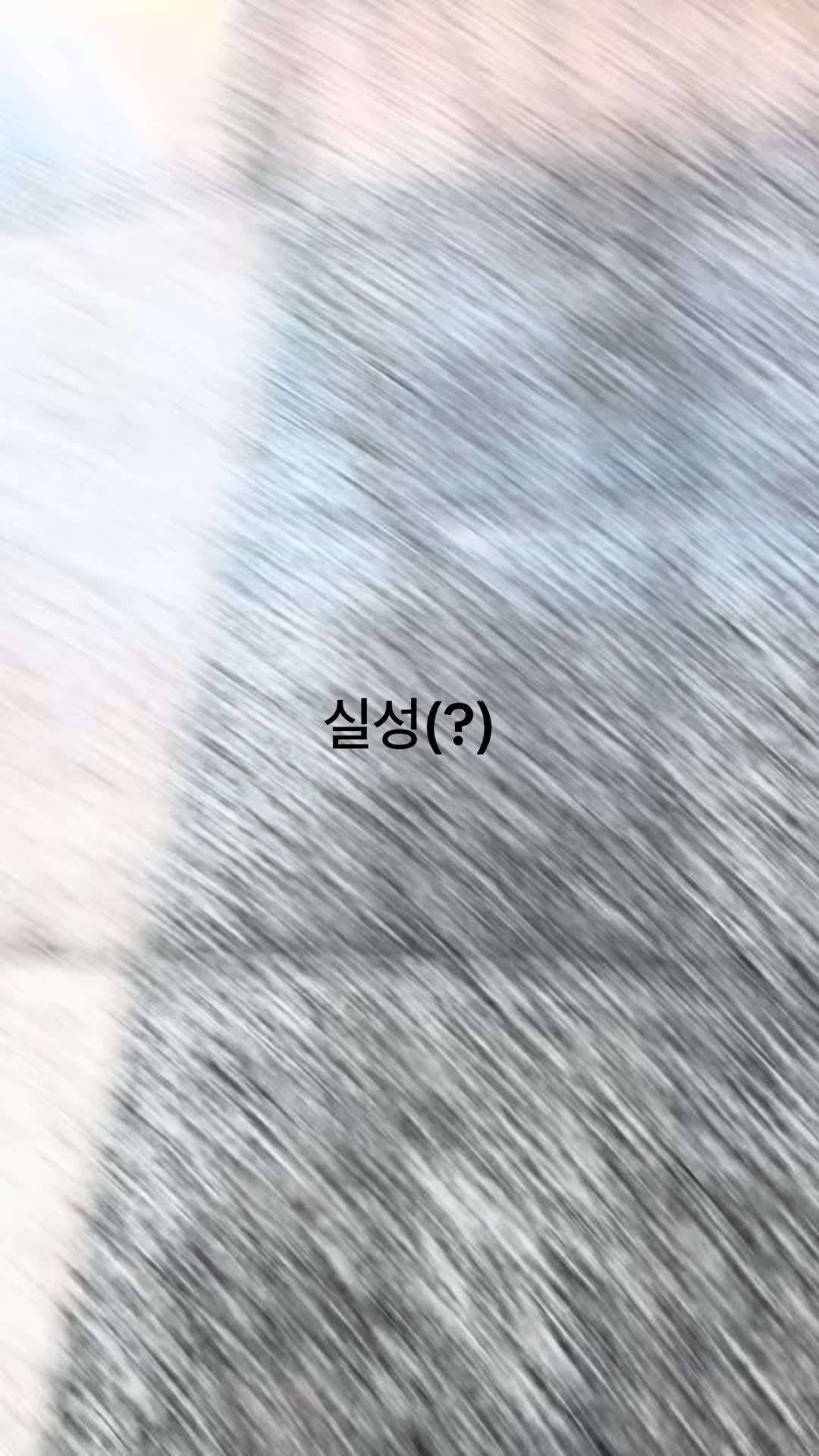 @시파녀