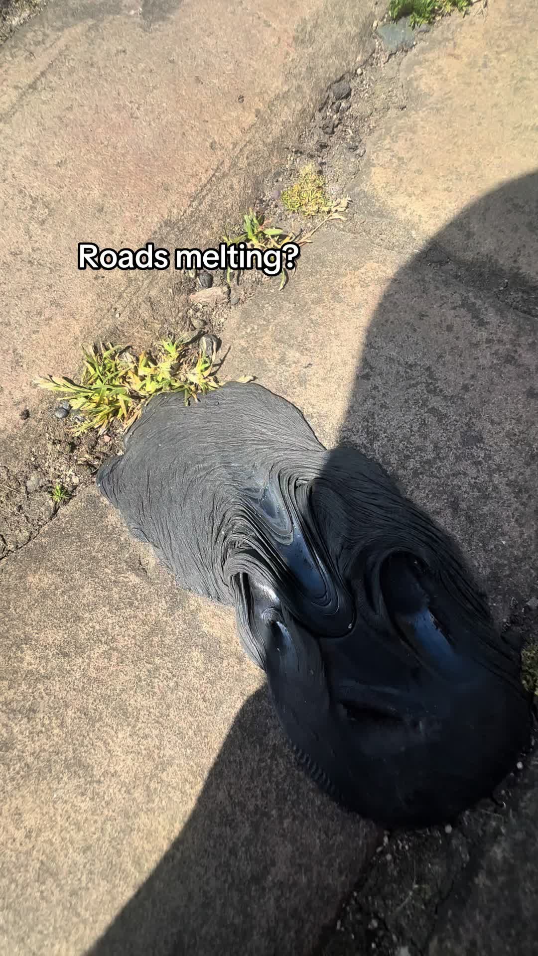 @𝐅𝐑𝐄𝐘𝐀🦄