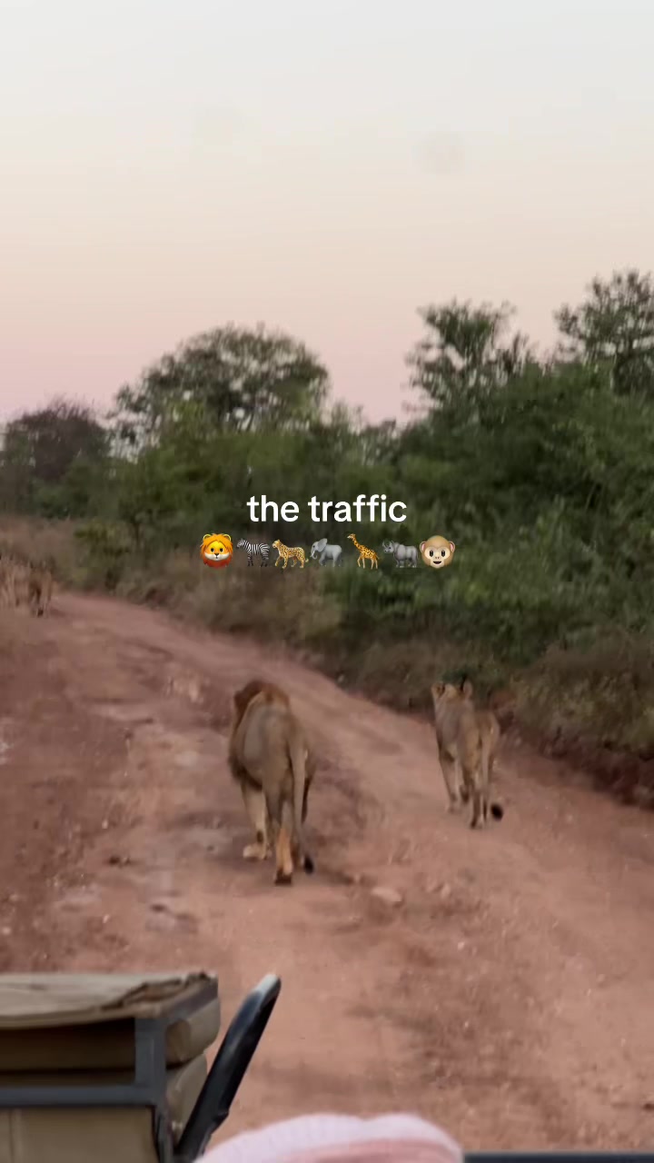 @Mariana Freitas